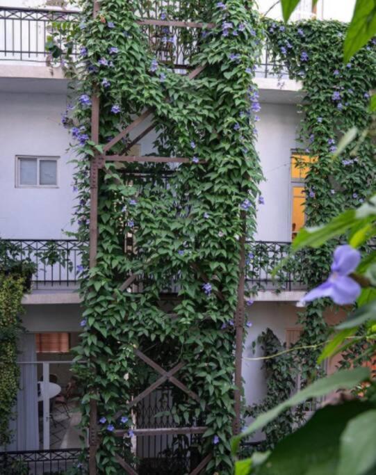 A Gorgeous In The Hippest Building In Town Appartement